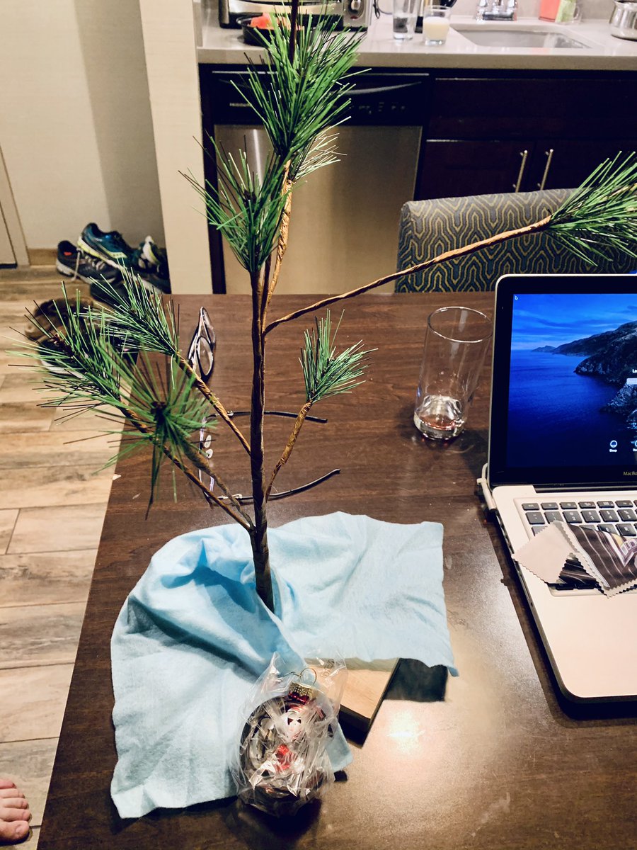 vikkihs's tweet photo. Good grief, Charlie Brown. 

This is so 2020-Les goes and buys a new Charlie Brown tree at @HomeDepot because ours got packed with everything else from the fire. He opens the box and the one, lone ornament is broken. https://t.co/MQ9zqmgvZQ