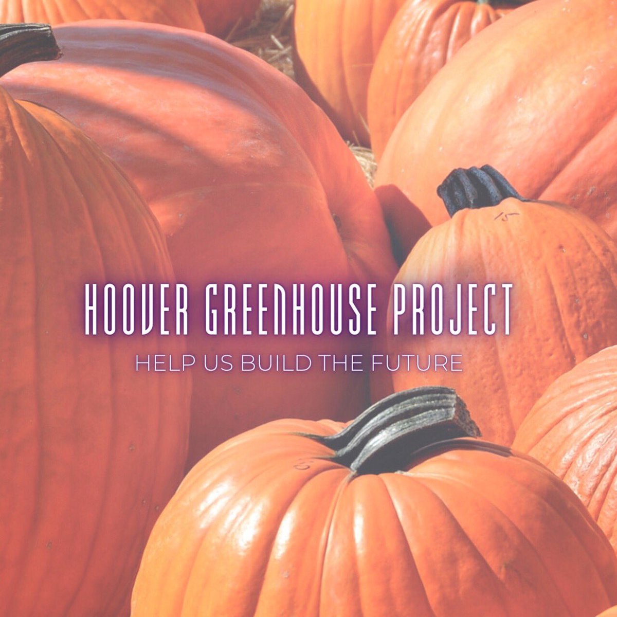 Hoover Greenhouse Club Twitter