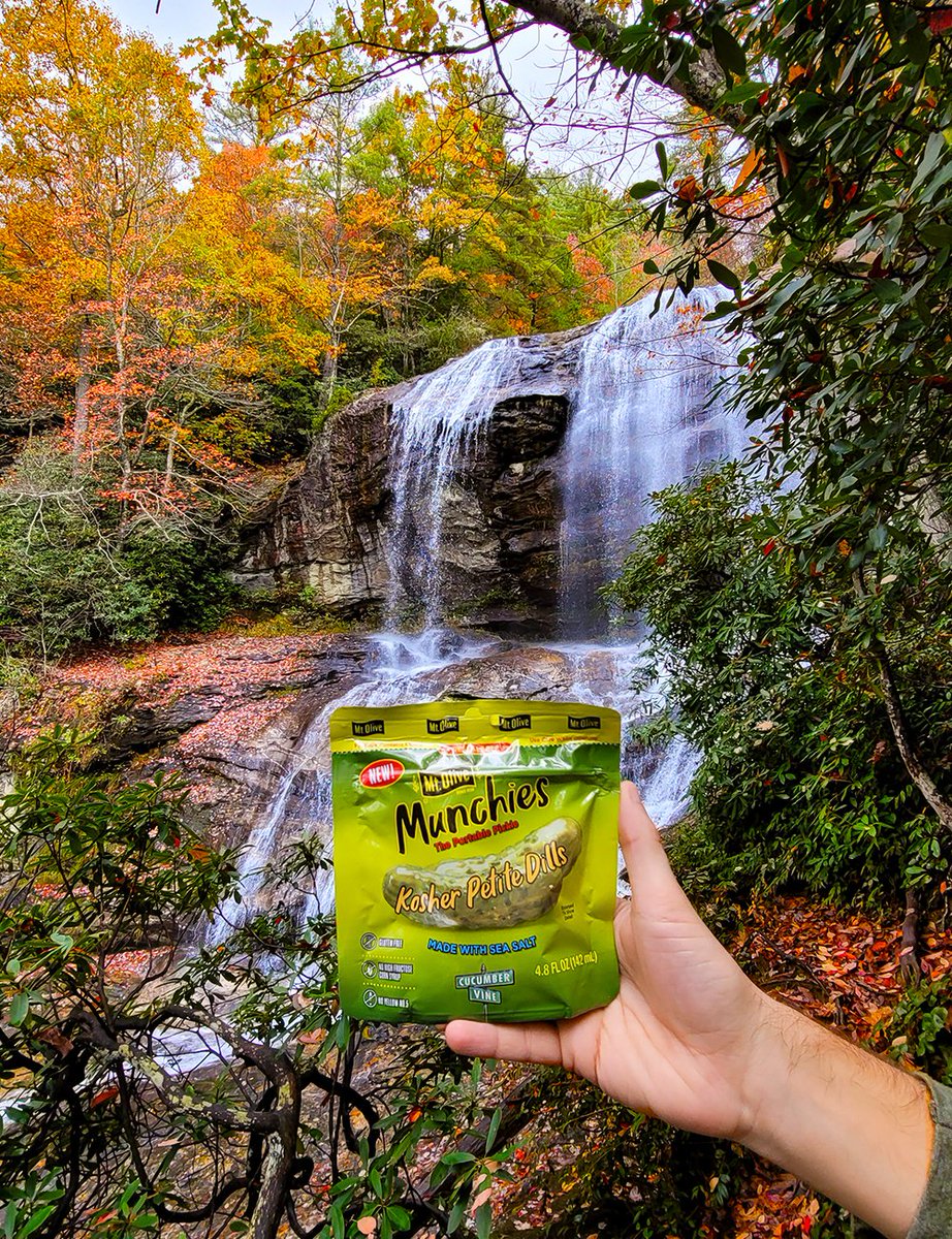 MtOlivePickles's tweet photo. Tomorrow is National Take a Hike Day! ⛰🌲 We love bringing Mt. Olive Munchies Portable Pickle Pouches as a snack when we explore the great outdoors. Where is your favorite place to hike?
#MtOlivePickles #Pickles #PortablePickles #PicklePouch #NationalTakeAHikeDay https://t.co/pjfjVsv6Mu