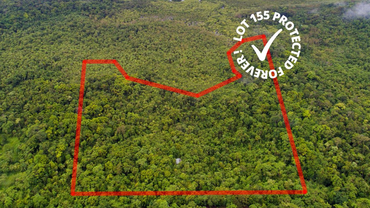halfcut8's tweet photo. We are so happy to announce the settlement on the purchase of Lot 155 Cape Tribulation occurred on last Wednesday. Thank you to the wonderful donors,  to ensure we protected this property from the threat of development.
https://t.co/ERb1L47uDF https://t.co/0zY5CwSL3P