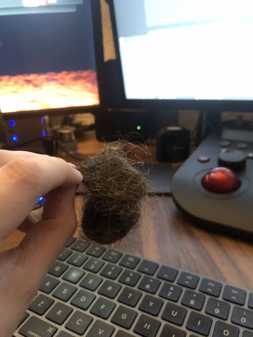 For sale: this massive clump of my hair. Act now, and I&rsquo;ll throw in some pedi-egg shavings 😂 https://t<a href="/tag/mvawards"class="tags"><span>#mvawards</span></a><a href="/tag/mvsales"class="tags"><span>#mvsales</span></a><a href="/tag/mvtrans"class="tags"><span>#mvtrans</span></a>