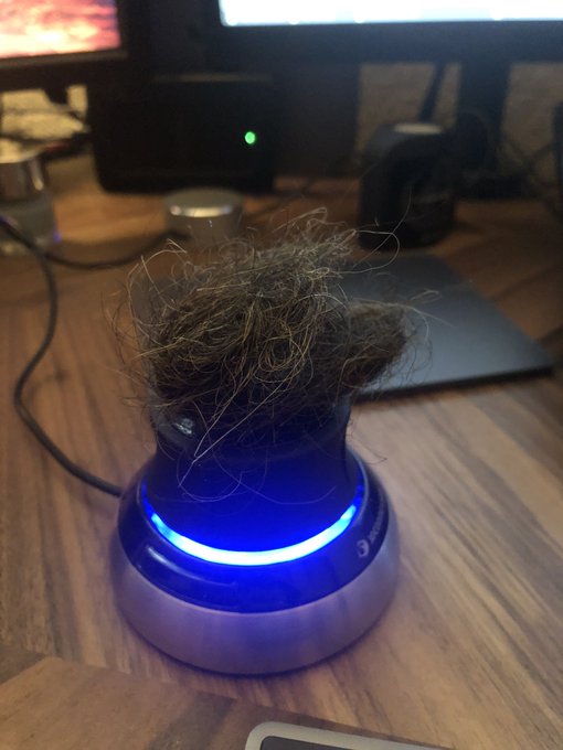 For sale: this massive clump of my hair. Act now, and I&rsquo;ll throw in some pedi-egg shavings 😂 https://t<a href="/tag/mvawards"class="tags"><span>#mvawards</span></a><a href="/tag/mvsales"class="tags"><span>#mvsales</span></a><a href="/tag/mvtrans"class="tags"><span>#mvtrans</span></a>