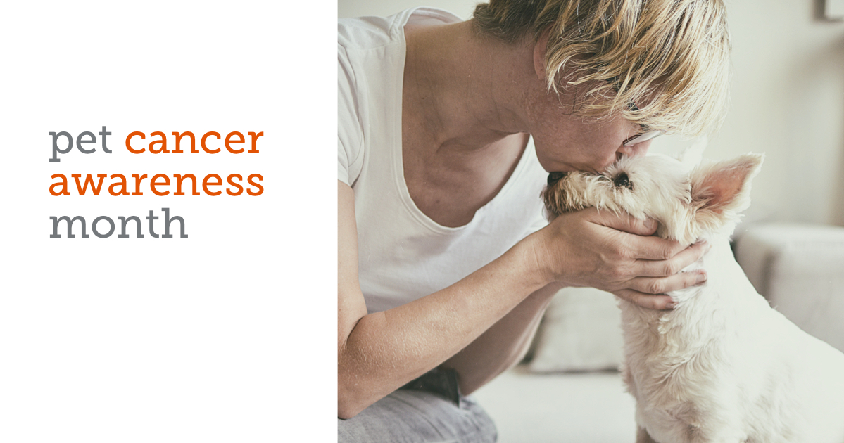 DVMRecruiting's tweet photo. Pet cancer is the leading disease-related cause of death for 🐱 and 🐶, but early detection can help save a pet’s life. That's just one reason Banfield believes in the power of preventative care. #PetCancerAwarenessMonth #banfieldcareers #petcare #veterinary https://t.co/sEM9RGSzWr
