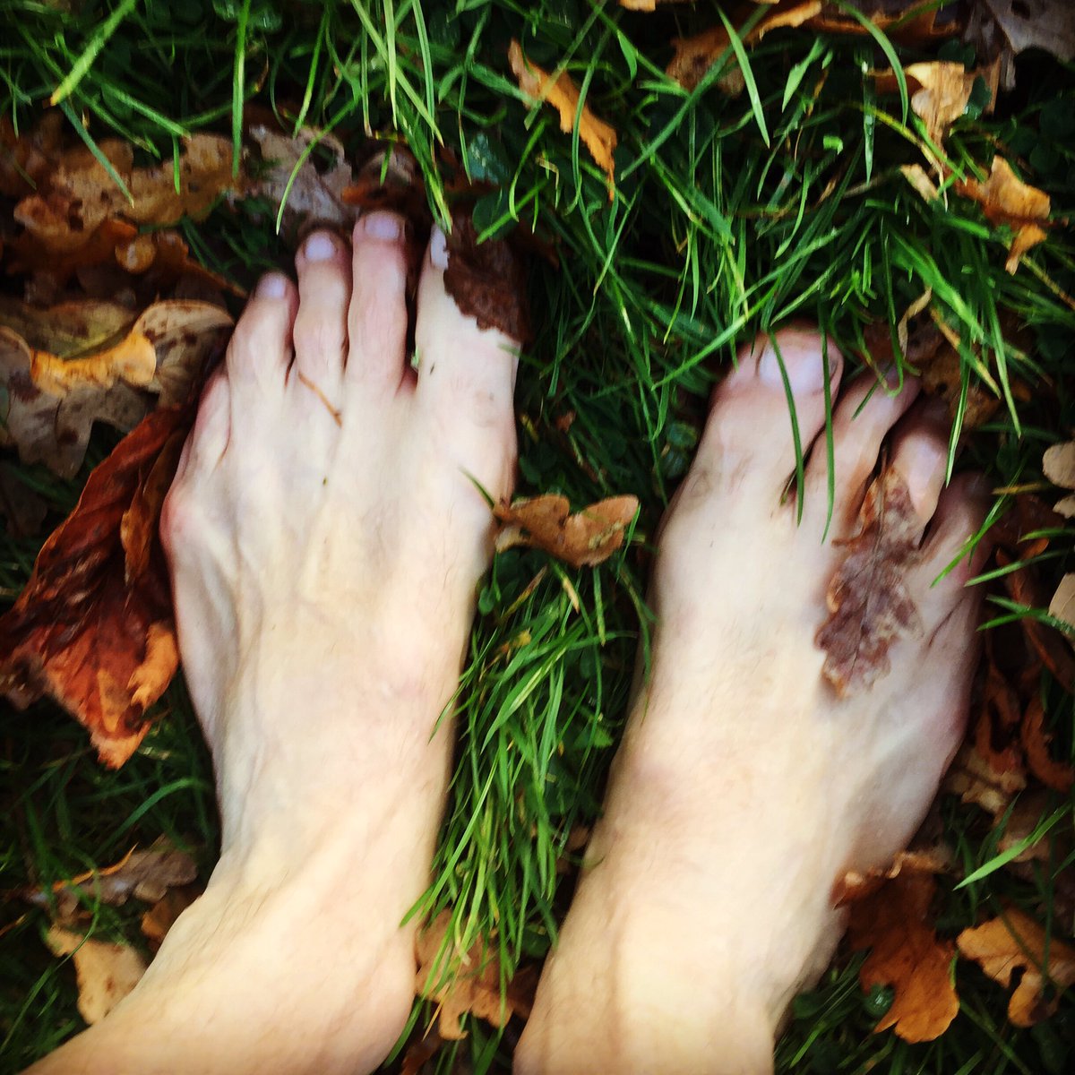 MikeFarrow's tweet image. Feeling the earth ❤️ #barefoot #softgrass