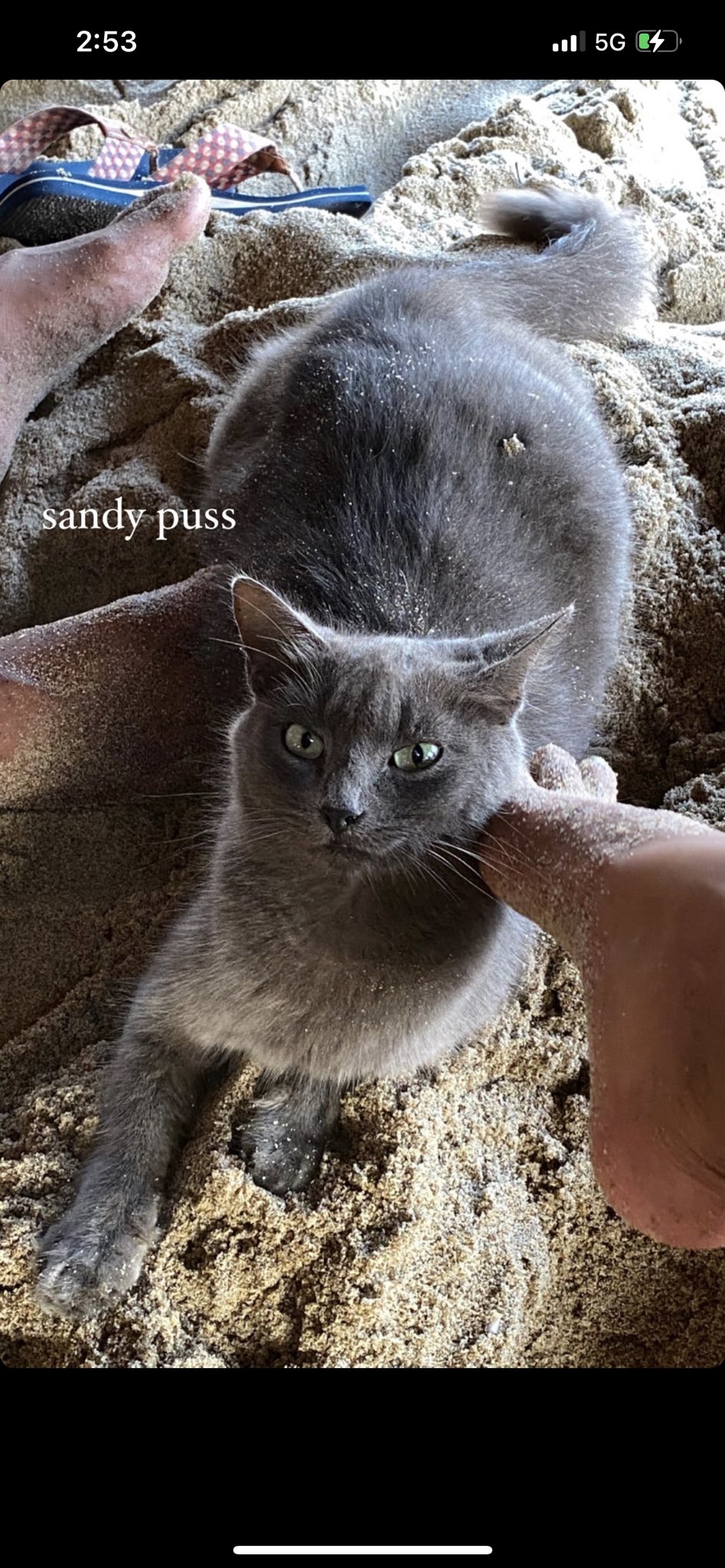 TW Pornstars - 2 pic. Bootsthefeline. Twitter. my internet friend