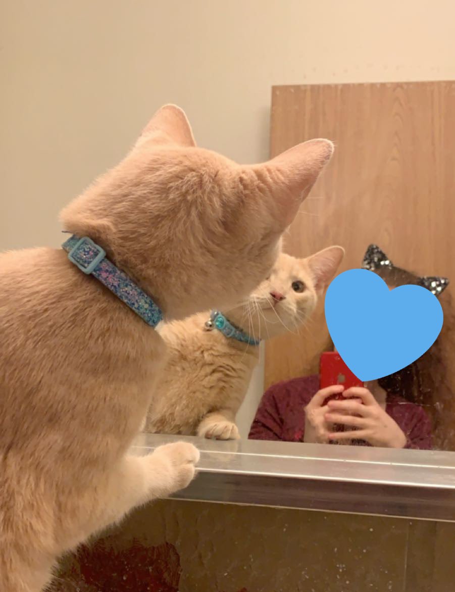 purridget's tweet photo. Im lofv yuo (frigg october last year vs now) https://t.co/EmIJpn4sjN