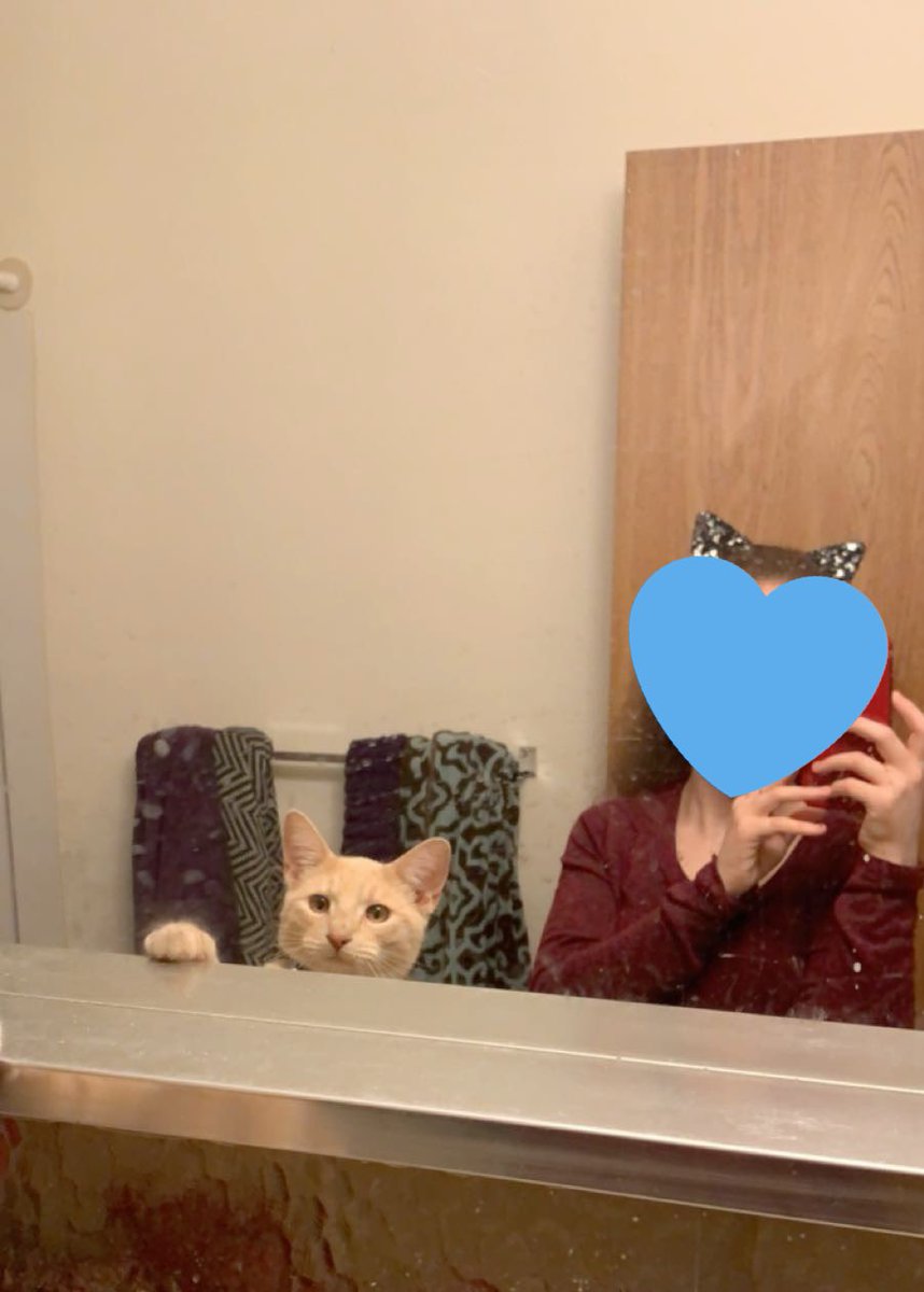 purridget's tweet photo. Im lofv yuo (frigg october last year vs now) https://t.co/EmIJpn4sjN