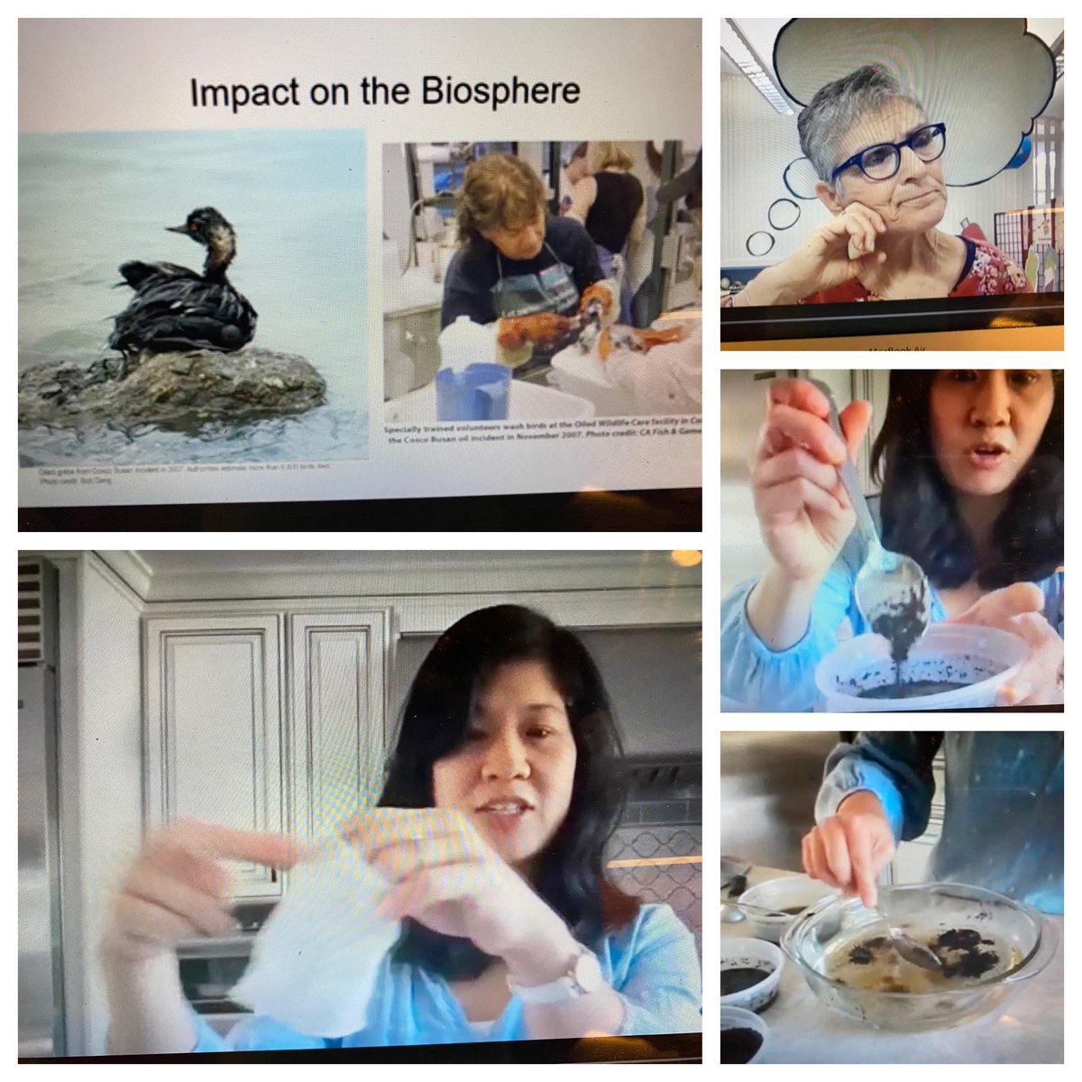 BVScienceNerd's tweet photo. T1 Engineering Challenge launched 11/4 to great enthusiasm! @WalnutHeightsWC @LouiKou got 5th Grs problem-solving an oil spill - save the seabirds! Thanks @WCEFK12 and PTAs for supplying #WCSDengineers with materials! @BuenaVistaWCSD @STEMscopes #wcef #sciencerocksremotely https://t.co/luv3PZhRUO