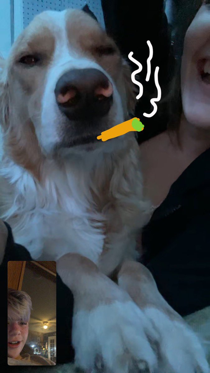ryanbarnhurst's tweet photo. 16 months later and this mother fucker still smokin weed in my basement. 
like at least pay rent https://t.co/YFc3rE26bK