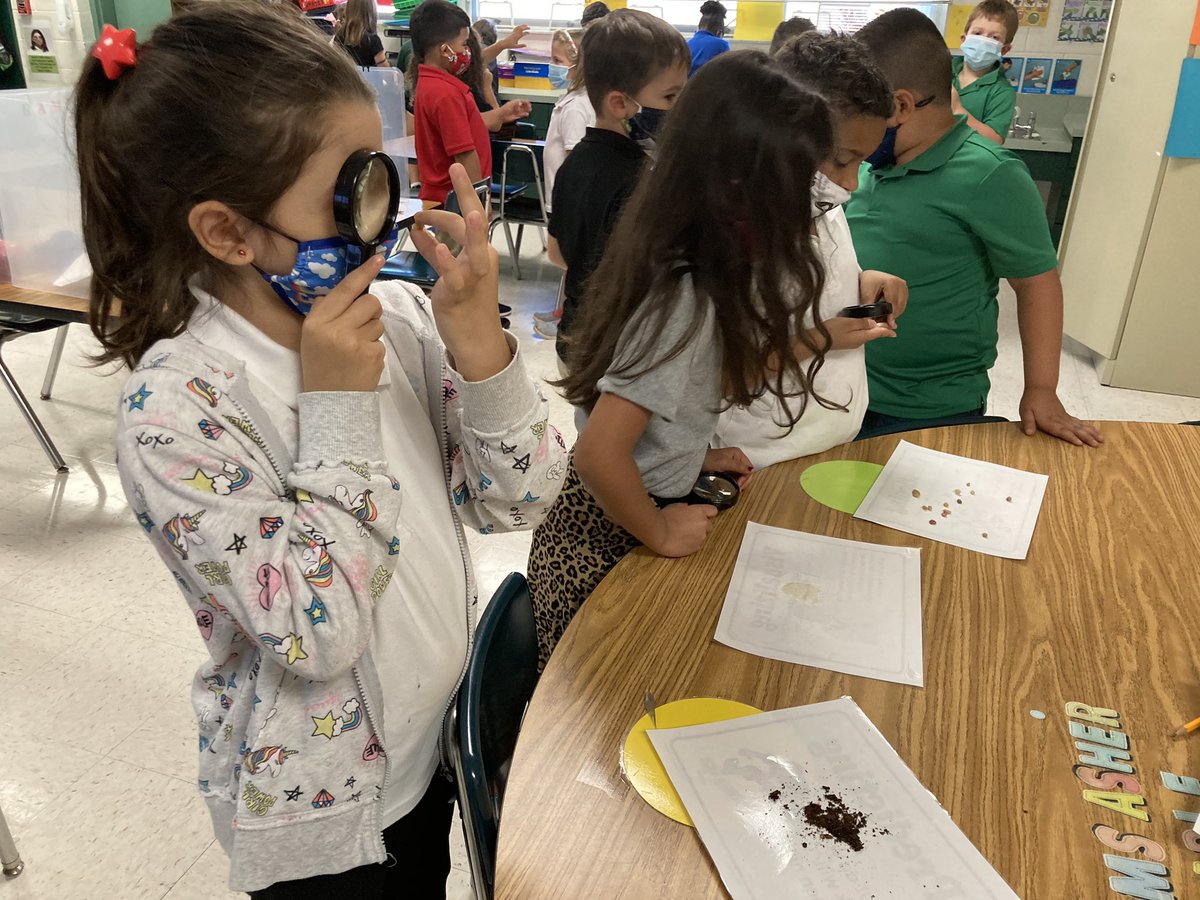 Today we started our first day doing our common experiment . Look at my first graders been scientist in doing their observation and discussing their findings on observing the various types of soil.
