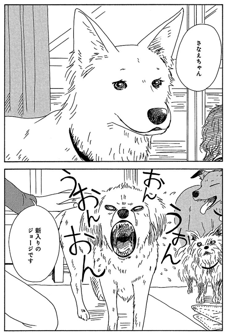 「ツヅキくんと犬部のこと」(秋田書店)
雪に覆われた青森で、捨てられた犬猫の里親探しをする大学サークル「犬部」の奮闘の日々。 