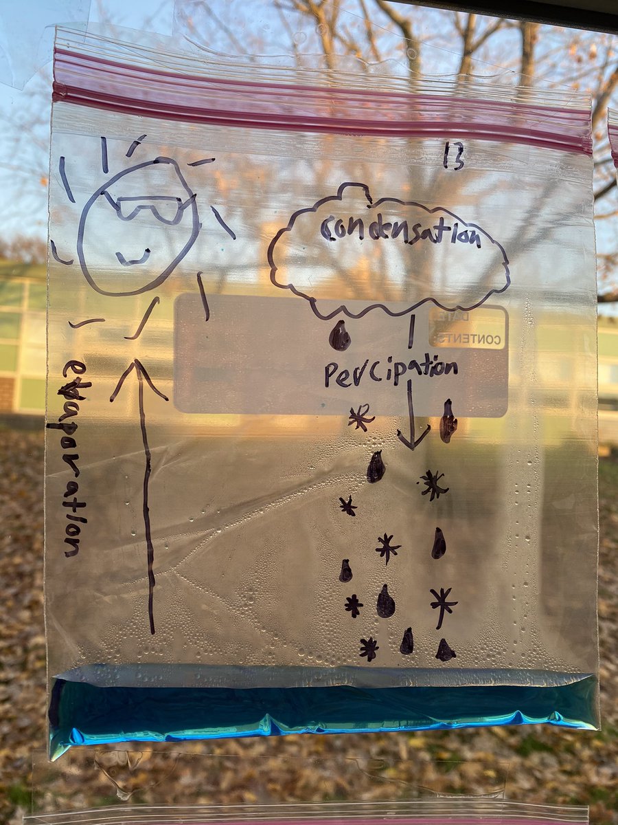 💧Cycle in a Bag! <a href="/CBWarwickElem/">Warwick Elementary School CBSD</a> Ss were amazed and excited to see how quickly water began to evaporate and condensate in their water cycle models!