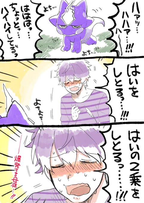 はじめてのポケモン剣盾 #️⃣7 