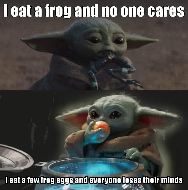 Grogu Akababyyoda Came First Did The Frog Or The Egg T Co G8hzbvvlqb Twitter