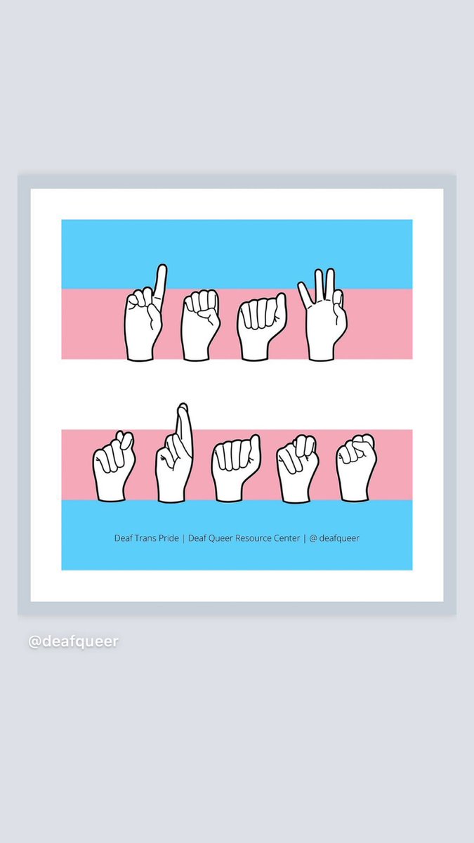 deafqueer's tweet photo. Happy Transgender Awareness Week!
⠀⠀
#DeafTrans #TransDeaf #DeafTransgender #TransgenderDeaf #DeafTransAwareness #DeafTransPride #TransAwarenessWeek #TransAwarenessMonth #Transgender #TransPride https://t.co/nz9j4wmpaw