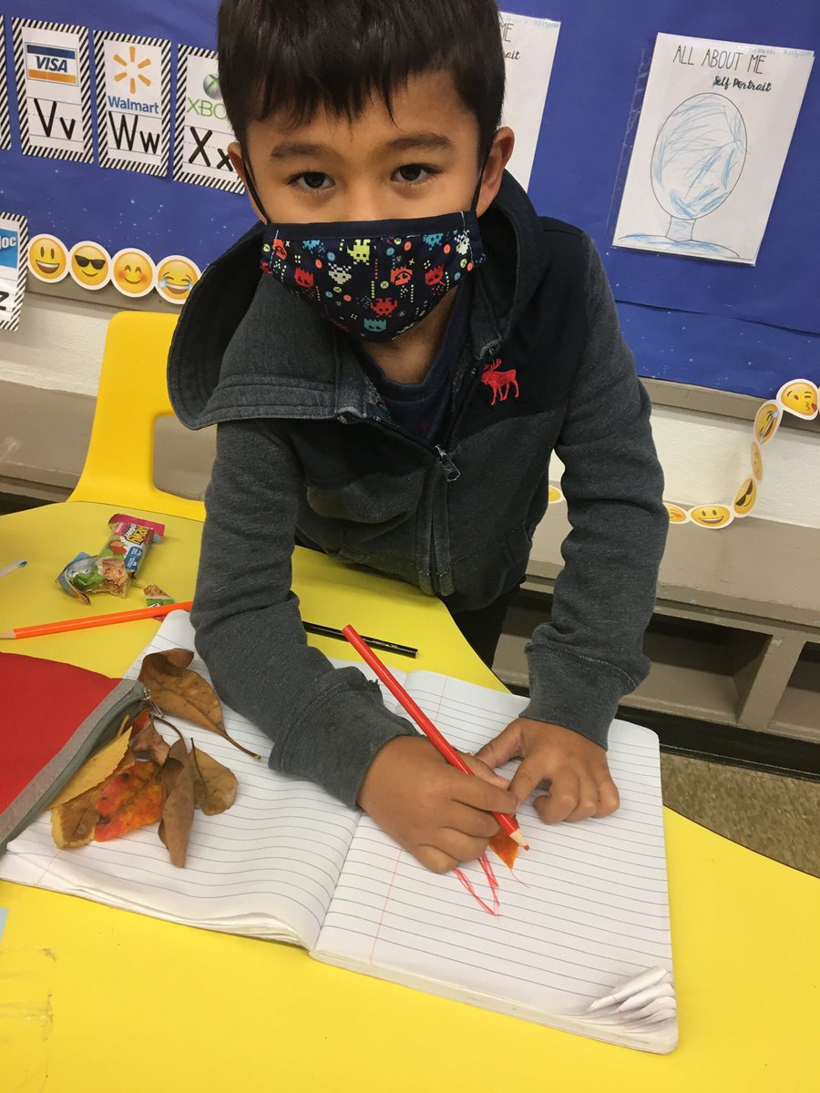 MsFrancos_class's tweet photo. Today we learned why leaves change colors! We played with leaves and picked our favorite ones to draw! #playandlearn #falllessons #prek https://t.co/l5dl8K0RvO