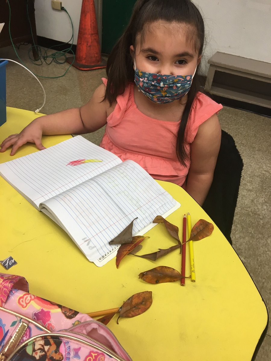 MsFrancos_class's tweet photo. Today we learned why leaves change colors! We played with leaves and picked our favorite ones to draw! #playandlearn #falllessons #prek https://t.co/l5dl8K0RvO