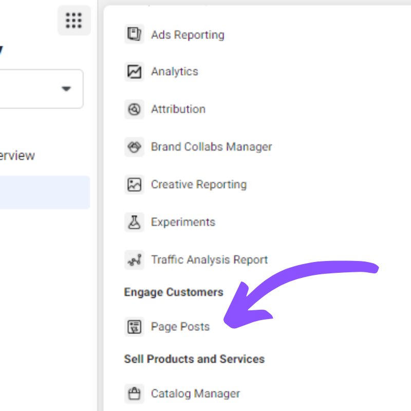 Set up a Facebook ads campaign Create a page post for your video ad and use it as the video you select in your adsCampaign budget optimization @ $50/day4-8 ad setsTarget 1 interest per ad setTarget USA, Canada, Australia, Germany, FranceAge + gender depend on product