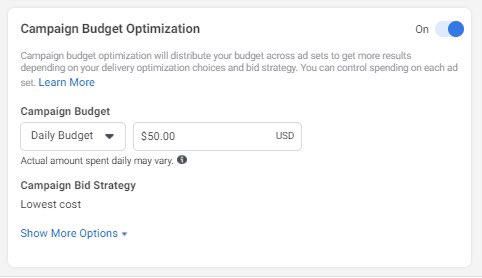 Set up a Facebook ads campaign Create a page post for your video ad and use it as the video you select in your adsCampaign budget optimization @ $50/day4-8 ad setsTarget 1 interest per ad setTarget USA, Canada, Australia, Germany, FranceAge + gender depend on product