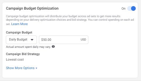 Set up a Facebook ads campaign Create a page post for your video ad and use it as the video you select in your adsCampaign budget optimization @ $50/day4-8 ad setsTarget 1 interest per ad setTarget USA, Canada, Australia, Germany, FranceAge + gender depend on product