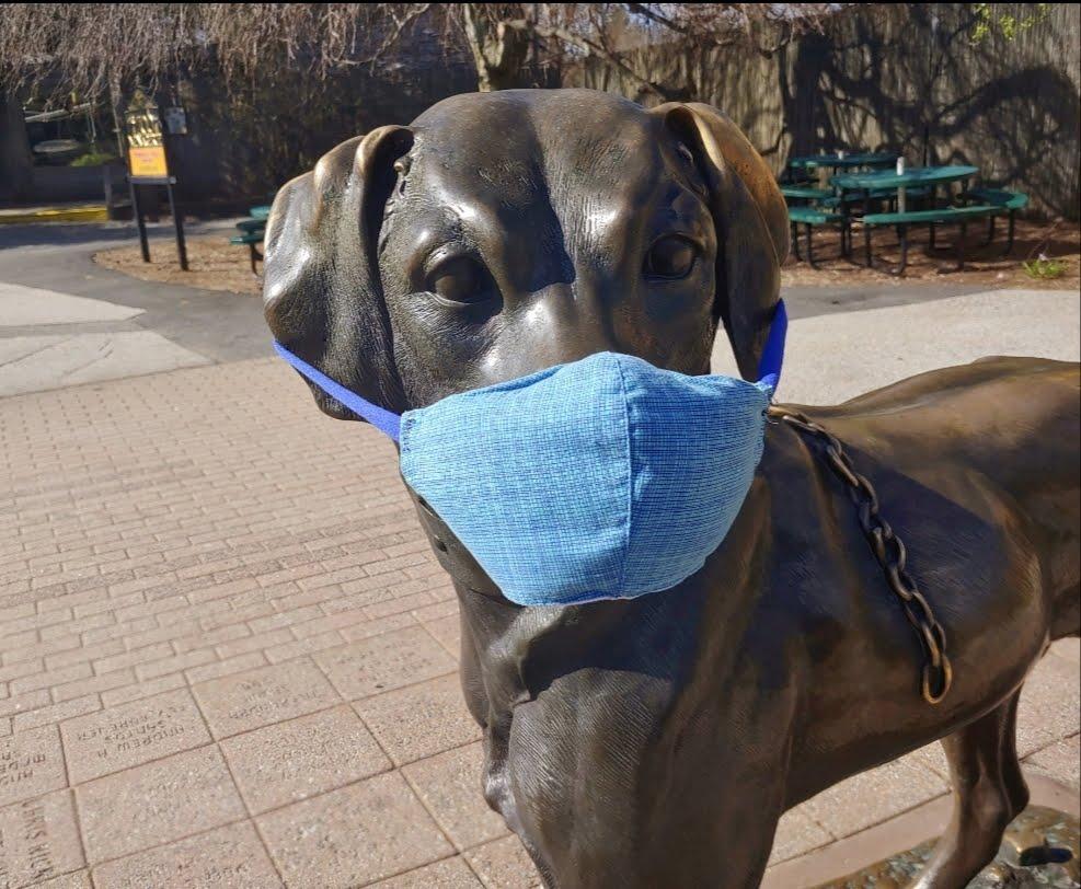 Register prior to Tues, Nov 17 at 2 for PPE Delivery* | Masks &amp; Disinfectant conta.cc/38Omejy