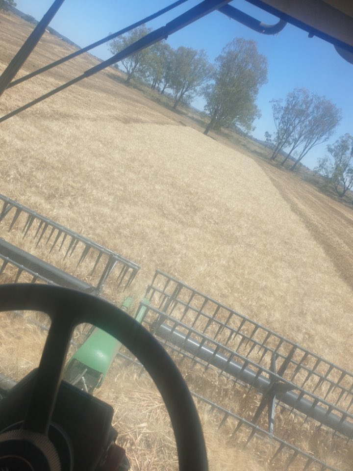 “The eagle has landed” - Neil Armstrong 
#harvest2020 #done