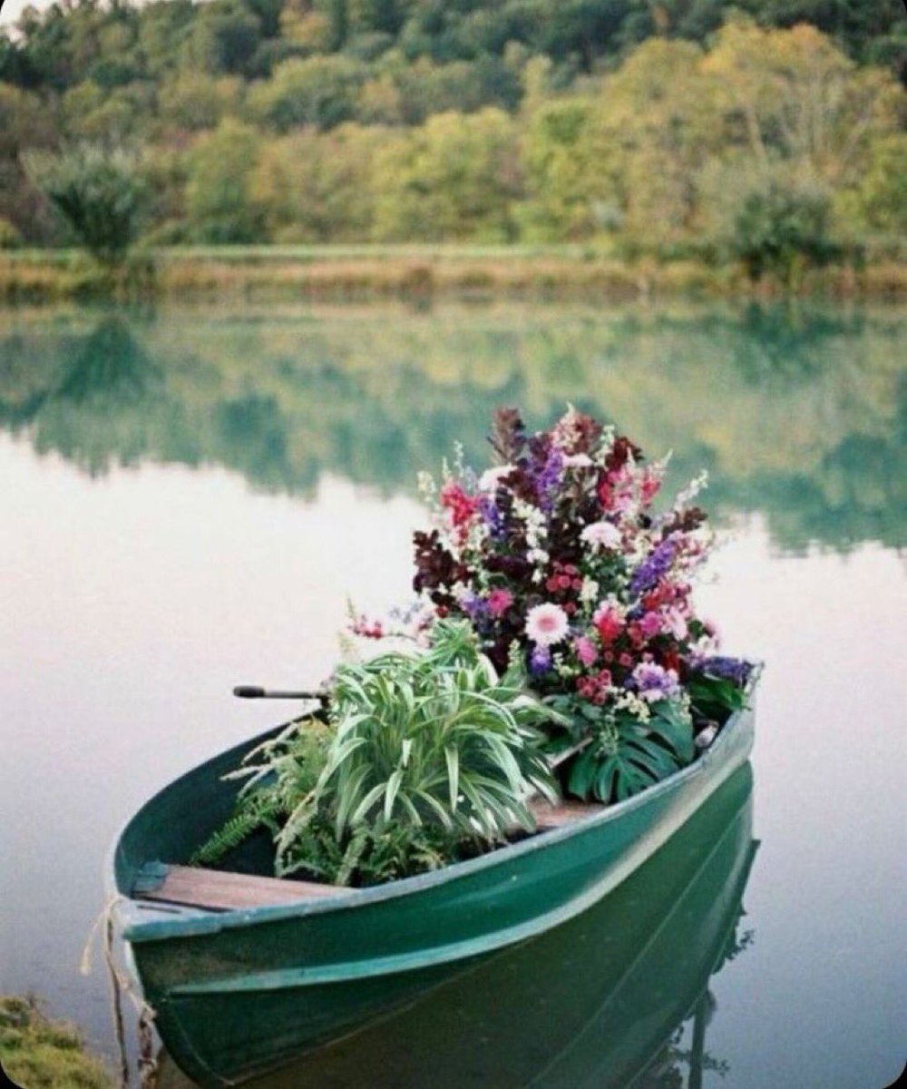 ♥️⿻
-

-

-

-
"رُوح الانسان مثل الزهور كلما ذَكر الله أزْهر.. وانشَرح صدره وكُلما غفل عن ذِكر الله ذبل.. وانقبض صدره."

❋⇣✺🦋___________