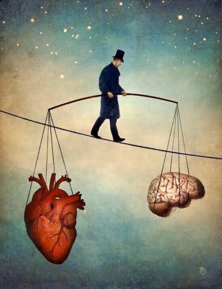 AnneScottlin's tweet photo. ❦The head informs the heart it need not suffer always, and the heart reminds the head it need not overthink love. ~Anne Scottlin
#suffering #balance #ChristianSchloe #otherthinking #informing #joyforlife https://t.co/lVc1iyx6wS