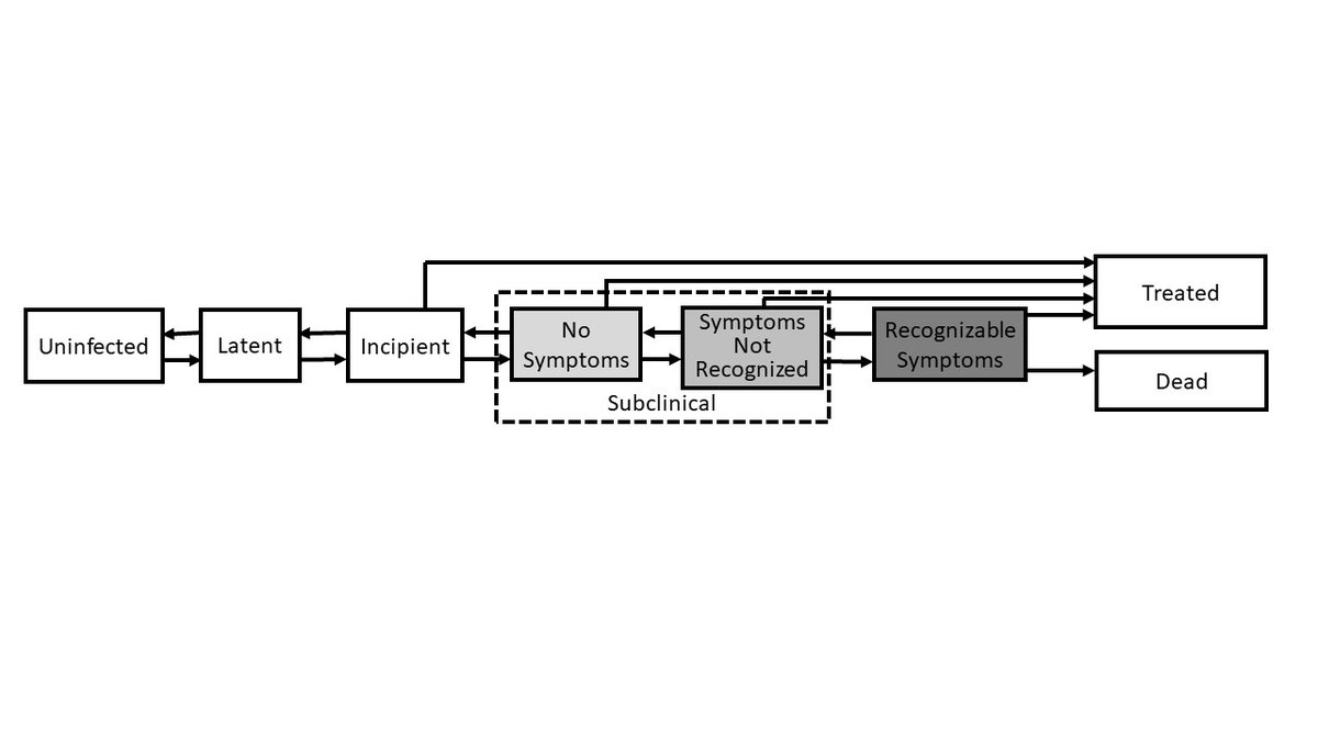 1. It's time to discard the binary concept of TB as "active" or "latent". We know that TB progresses thru incipient & subclinical phases - but subclinical disease can also regress, may cause sx's that aren't recognized, and can be diagnosed & treated (w/s shorter regimens?)
