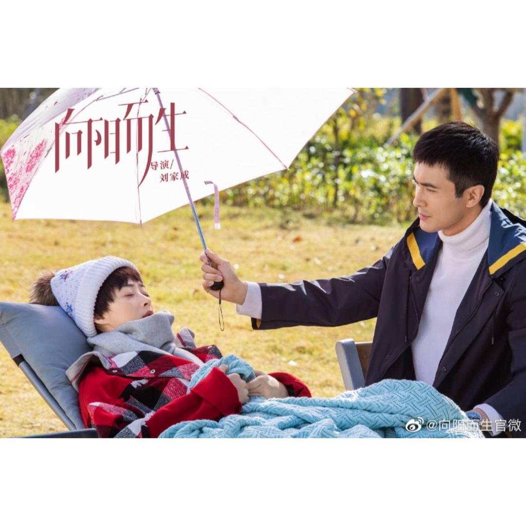 download drama china rush to the dead summer download drama china rush to the dead summer