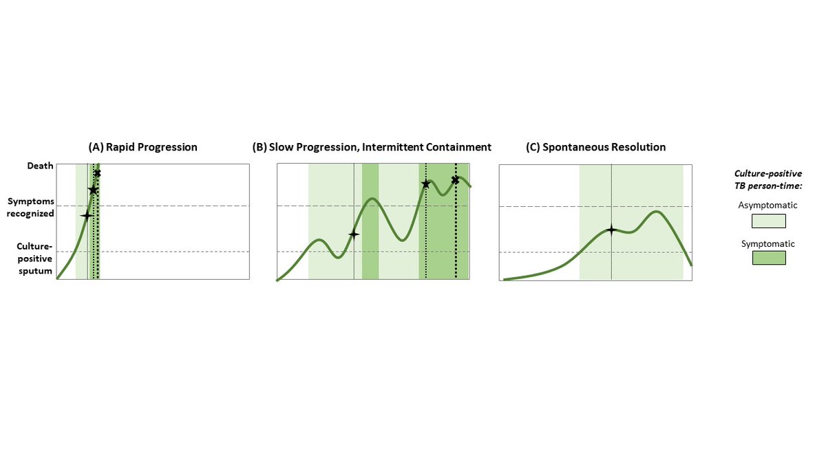 3. Clinical/natural history trajectories of people w/ subclinical TB likely to be very different - some will progress rapidly to severe disease, others will progress slowly, others will regress after long subclinical phase. The latter 2 likely more relevant to transmission...