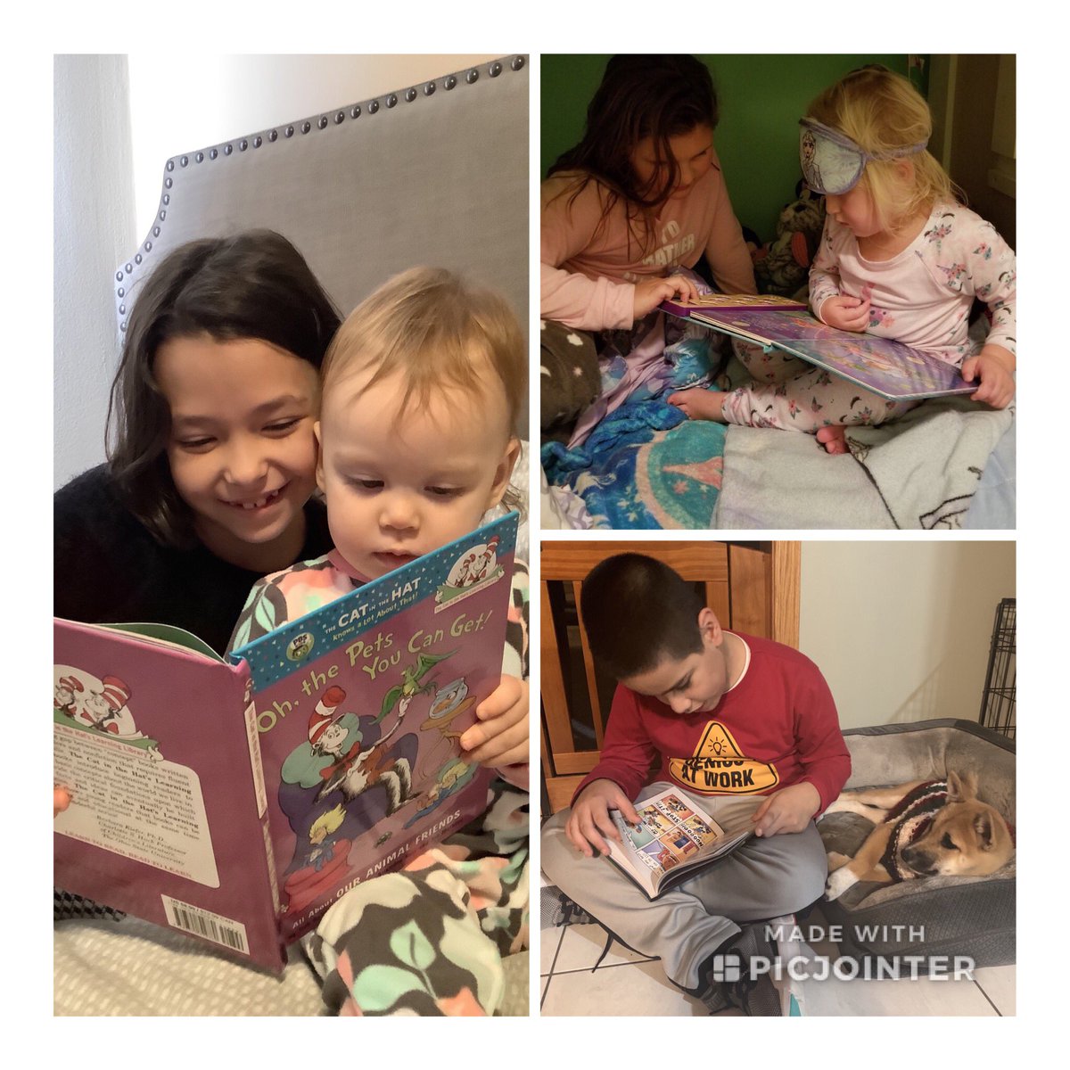 Robin Loess tweet media