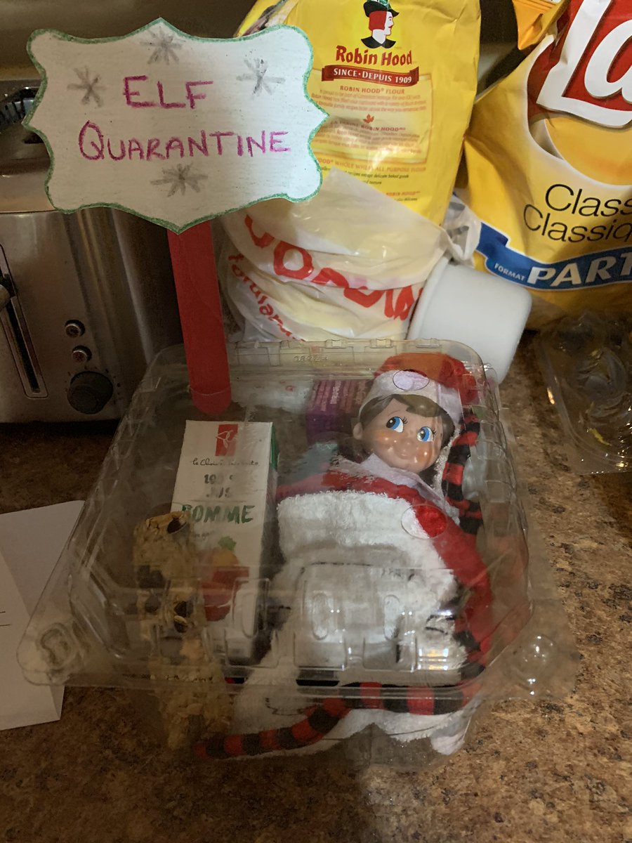 Steph_R_Russell's tweet photo. Tingle didn’t want to miss out on any fun but is making sure he follows public health measures #elfontheshelf @Johnrockdoc @CMOH_NL @PremierofNL https://t.co/OicRmCH6rl