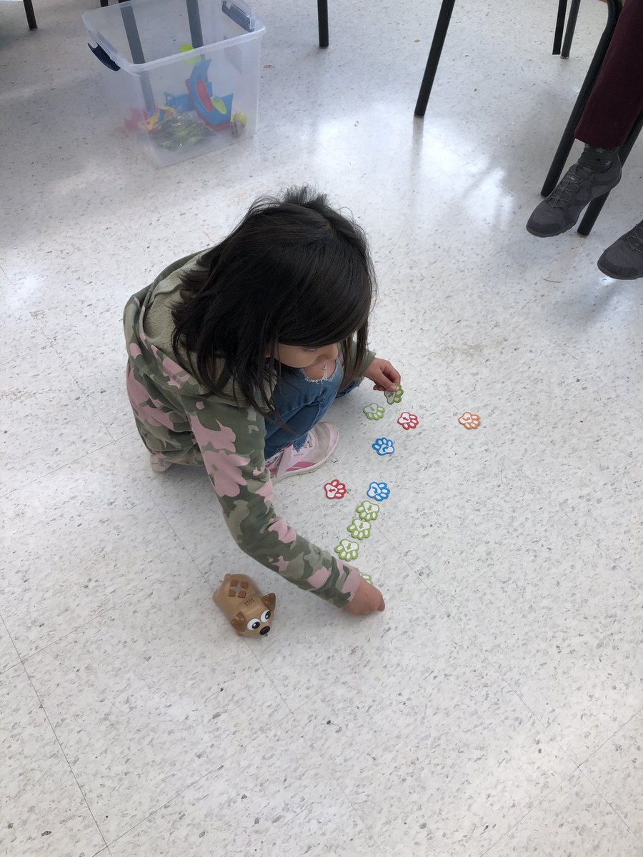 dannigirl2701's tweet image. Grade 2 students getting started with coding; experimenting with sequencing / directional commands using #CodeAndGoMouse and #CodingCritters @asdnnb @stemnorth @LearningHandsOn