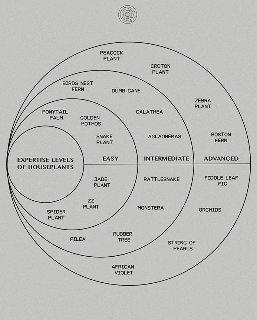 house plant expertise levels via groun.ded