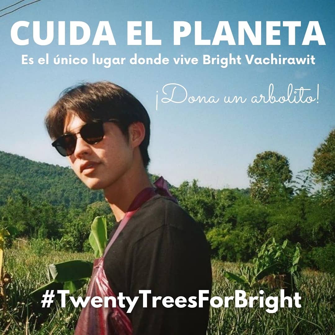 bbrightvchile's tweet photo. Hi shikis, recuerden que estamos realizando un proyecto por el cumple de Bright 🥺❤️ #TwentyTreesForBright 🥰💜
link con la info: https://t.co/OGiI6PhRkR
🤍
#bbrightvc #bbrightvchile #วชิรวิชญ์ชีวอารี https://t.co/VIGbND9zQG