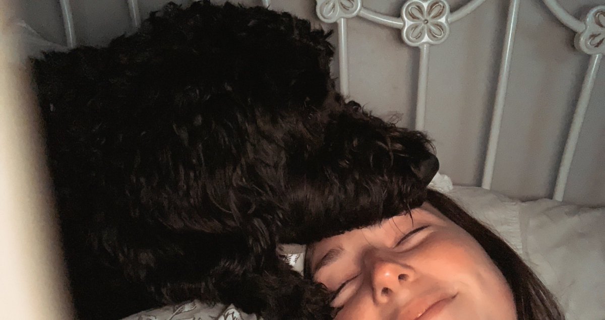 dent_peyton's tweet photo. Are you over-the-top obsessed with your dog/pet as much as I am or are you weird?? https://t.co/WT2S189j3V