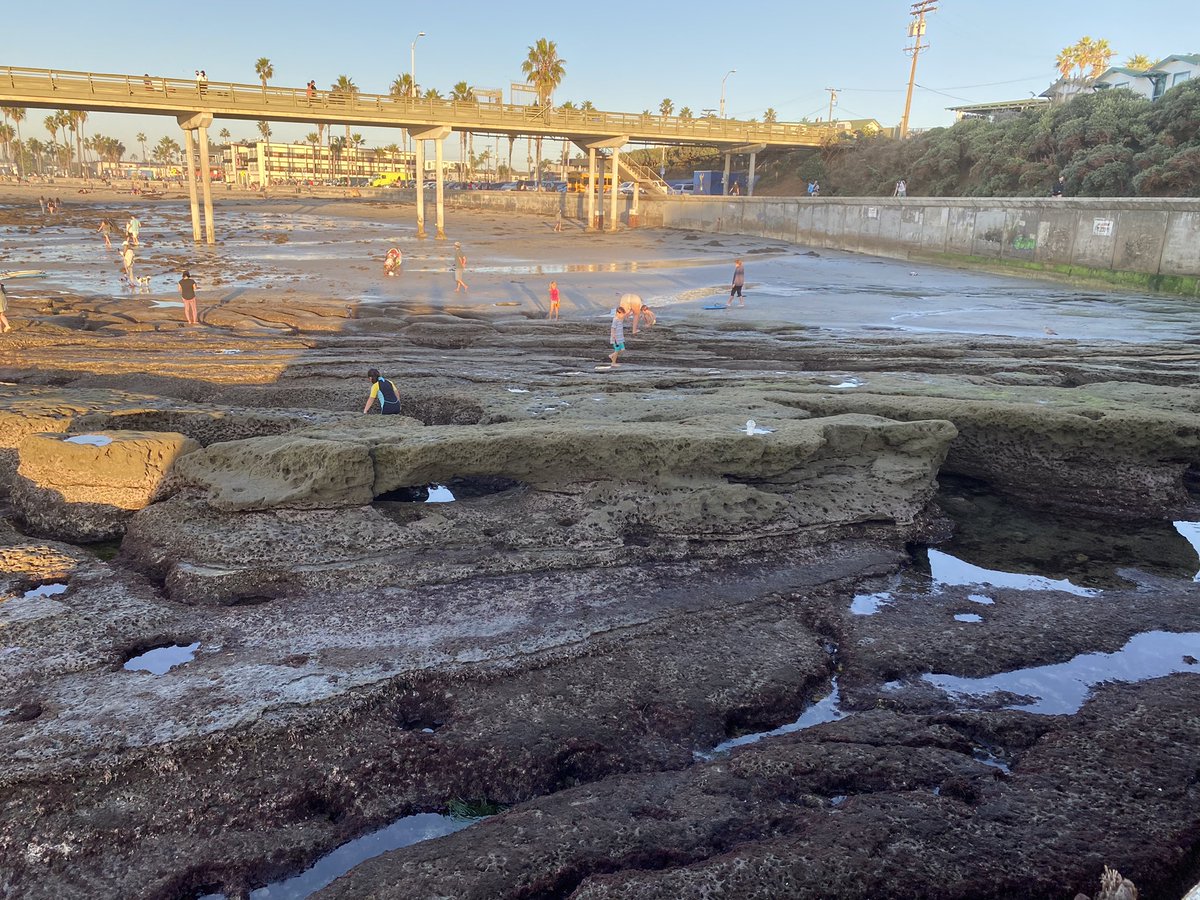 At high tide, sometimes surfers can catch the wave that comes off the southern and eastern wall. The wall! It’s barely in the frame of the photo with the water at low tide.