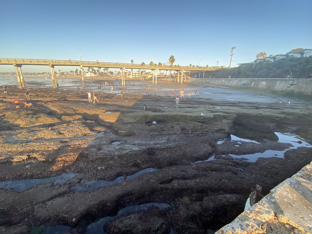 At high tide, sometimes surfers can catch the wave that comes off the southern and eastern wall. The wall! It’s barely in the frame of the photo with the water at low tide.
