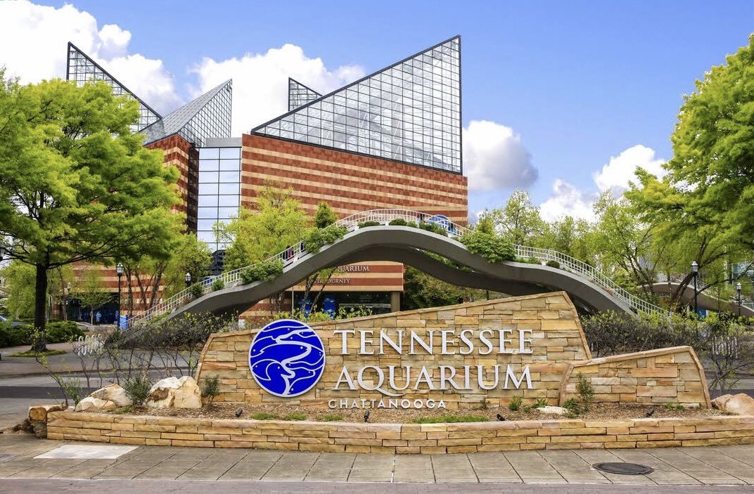 Need an activity the whole family will enjoy? There’s no better place than the Tennessee Aquarium to explore the sea, river, bird, and butterfly exhibits! [1 Broad St]