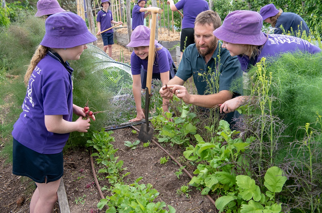 Greater Bendigo’s first ever Food System Strategy launches ow.ly/RlD150B9aYP <a href="/GreaterBendigo/">CityofGreaterBendigo</a> #foodsystems #greaterbendigo #foodsecurity #healthyeating #PreventionVic