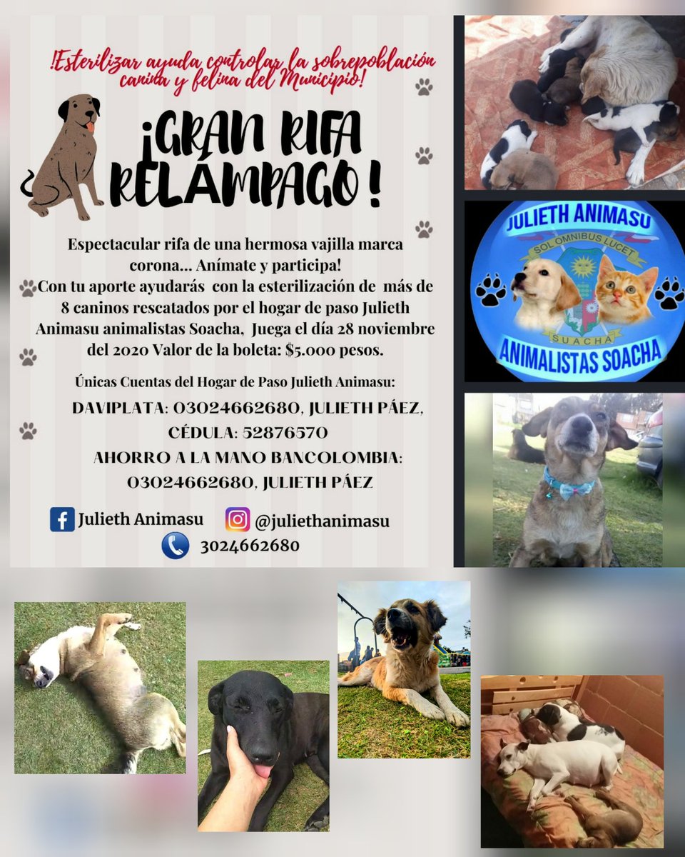 Julieth Animasu animalistas Soacha 🐱 🐾 🐶 tweet media