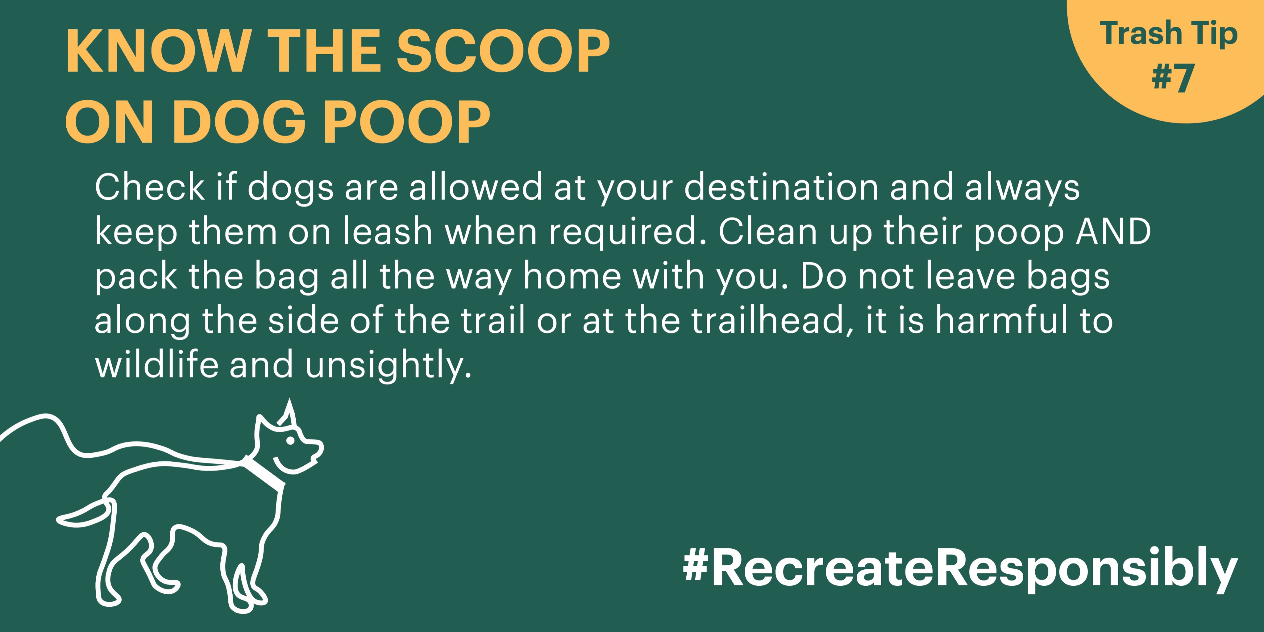 How Does My Dog Decide Where To Poop