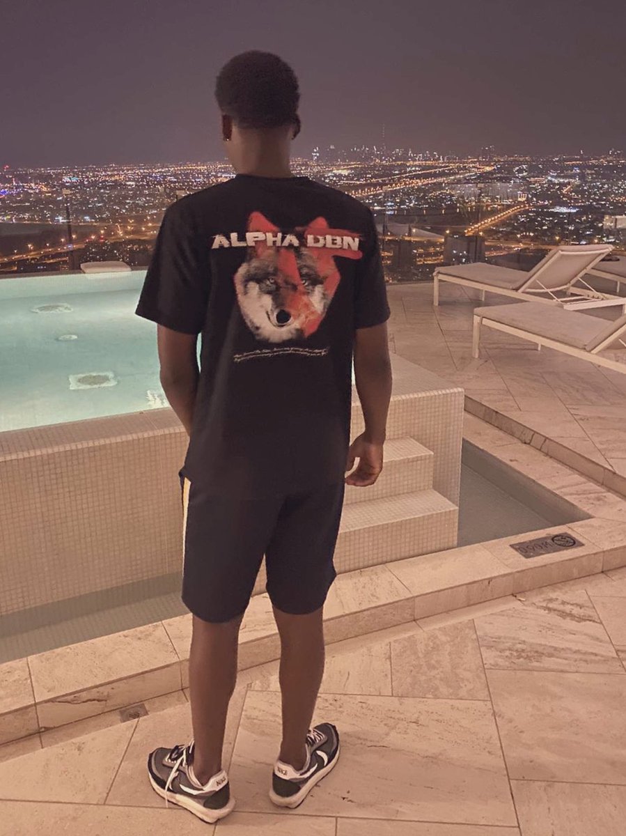 AlphaDBN tweet media