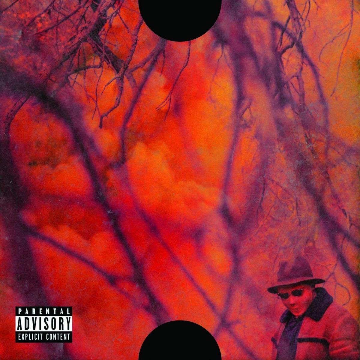 21. ScHoolboy Q - Blank Face LP20. SZA - Ctrl19. David Bowie - Black Star18. The Weeknd - Trilogy