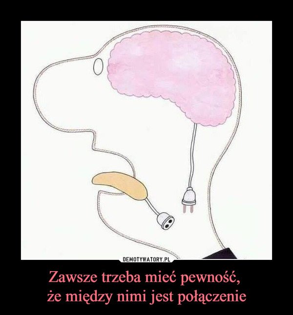 ZakopaneGO.com tweet media