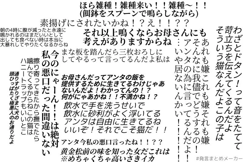 母と猫の仁義なき戦いTHEファイナルwwwめっちゃ文句言いつつも愛を感じるwww
