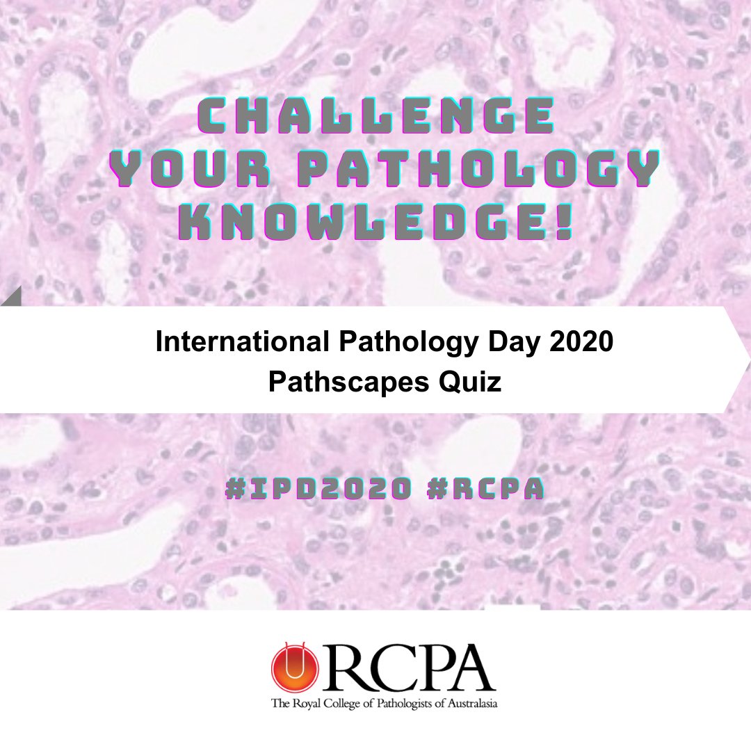 The Royal College of Pathologists of Australasia (@pathologyrcpa) on Twitter photo How does your #pathology knowledge measure up? Try this quick Pathscapes quiz! Thank you to #RCPA Fellow & Pathology Educator, A/Prof Kais Kasem of <a href="/unimelb/">University of Melbourne</a> for developing this quiz for International Pathology Day bit.ly/2I5Expg #IPD2020 How does your #pathology knowledge measure up? Try this quick Pathscapes quiz! Thank you to #RCPA Fellow & Pathology Educator, A/Prof Kais Kasem of <a href="/unimelb/">University of Melbourne</a> for developing this quiz for International Pathology Day bit.ly/2I5Expg #IPD2020