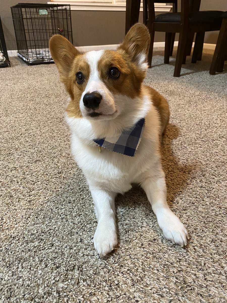 Look at my cute little baby who went to the spaw today ❤️❤️❤️