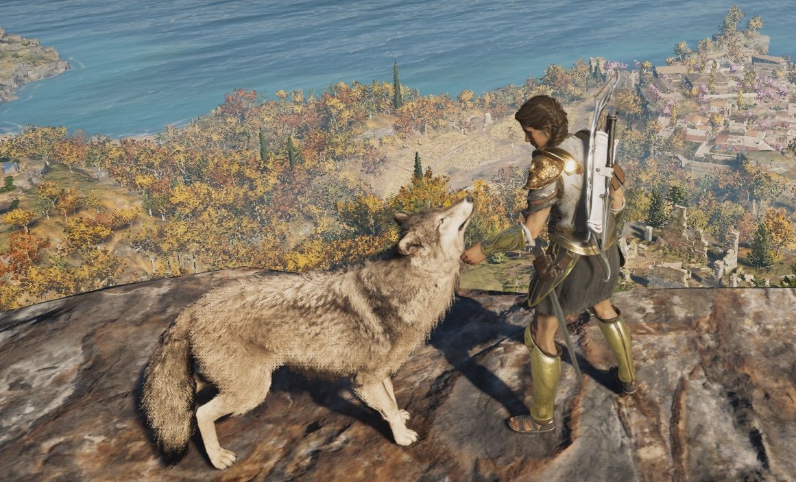 CanYouPetTheDog's tweet photo. Assassin's Creed Valhalla is the seventh game in the series to feature pettable dogs. To my knowledge, AC has more titles with pettable dogs than any other gaming franchise. https://t.co/S1eAA5B6IA